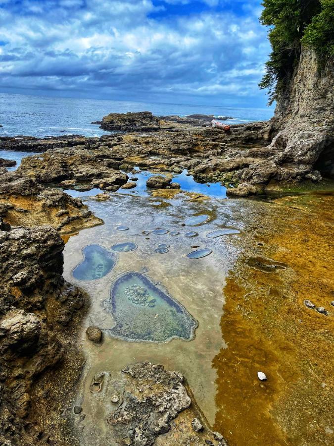 Port Renfrew Oceanfront Retreat别墅 外观 照片